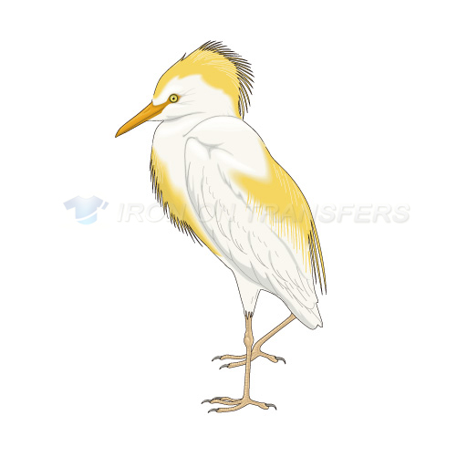 Birds Iron-on Stickers (Heat Transfers)NO.2180
